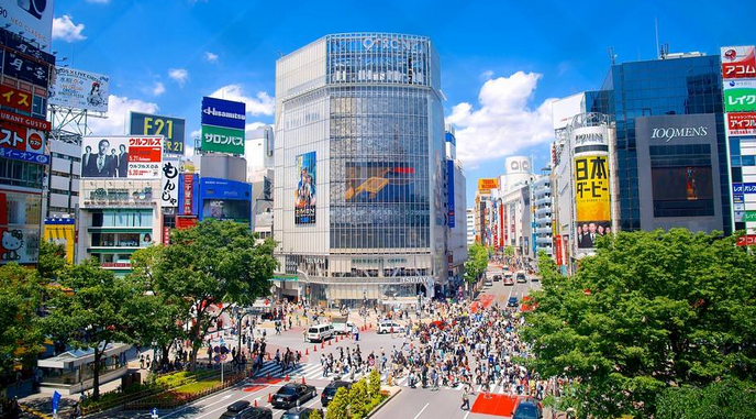 東京、箱根、伊豆半島、東京1天自由行6日