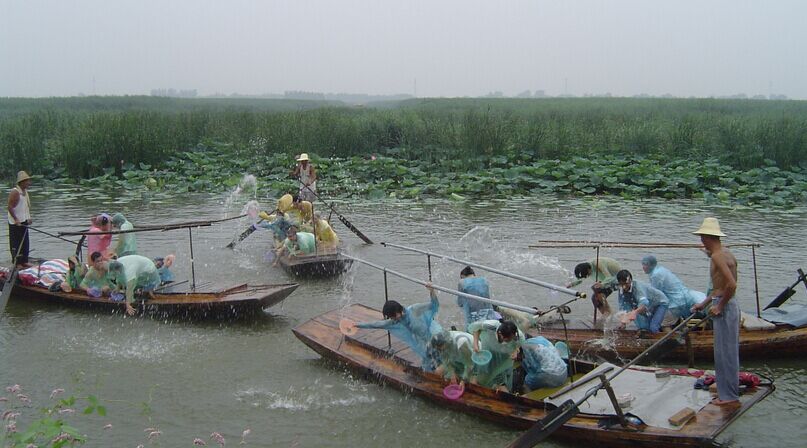 白洋淀荷花大觀園、鉆蘆葦、打水仗雙汽2日